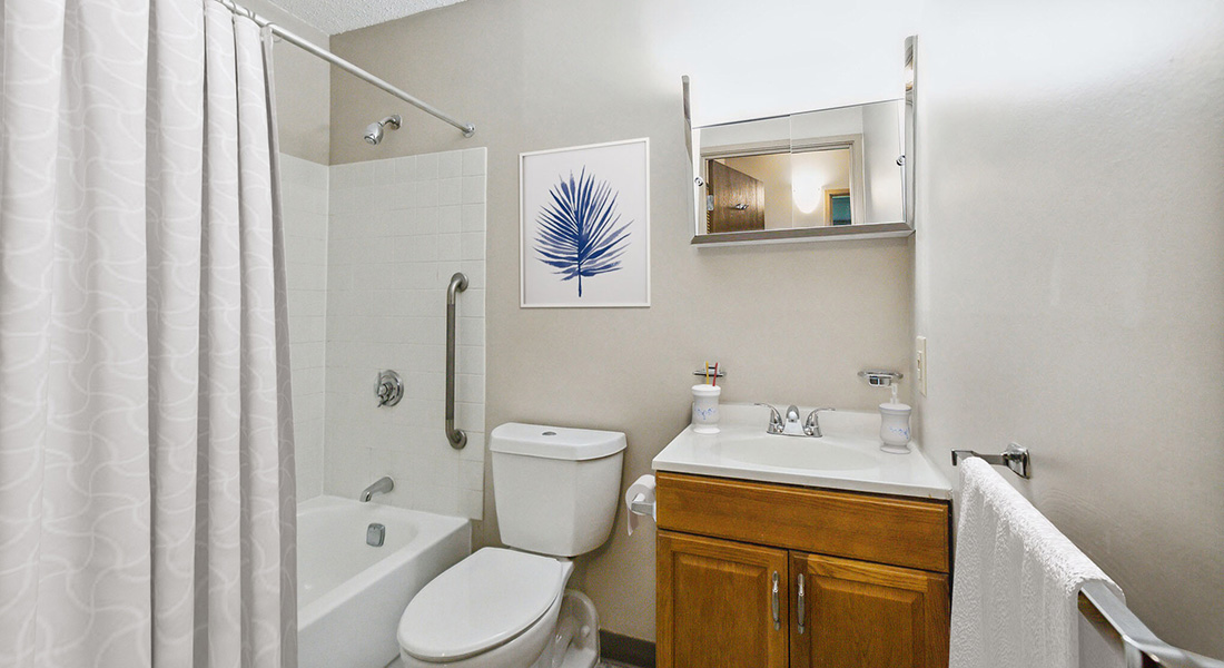 Bathroom inside a unit at East Side Apartments