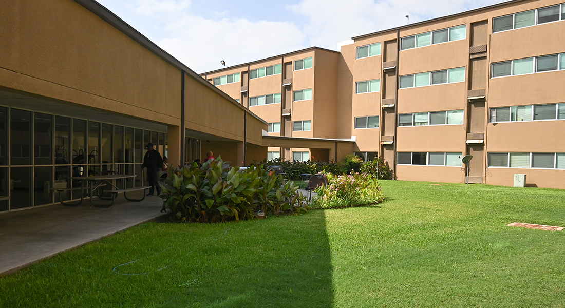 Forest Green Manor Silver Tree Residential