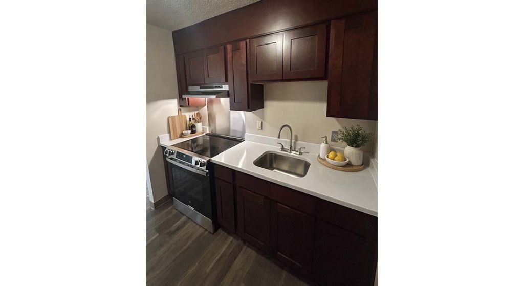 Silvertree Seniors Chattanooga kitchen