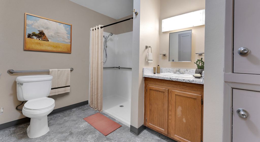 Silvertree Seniors of San Antonio bathroom