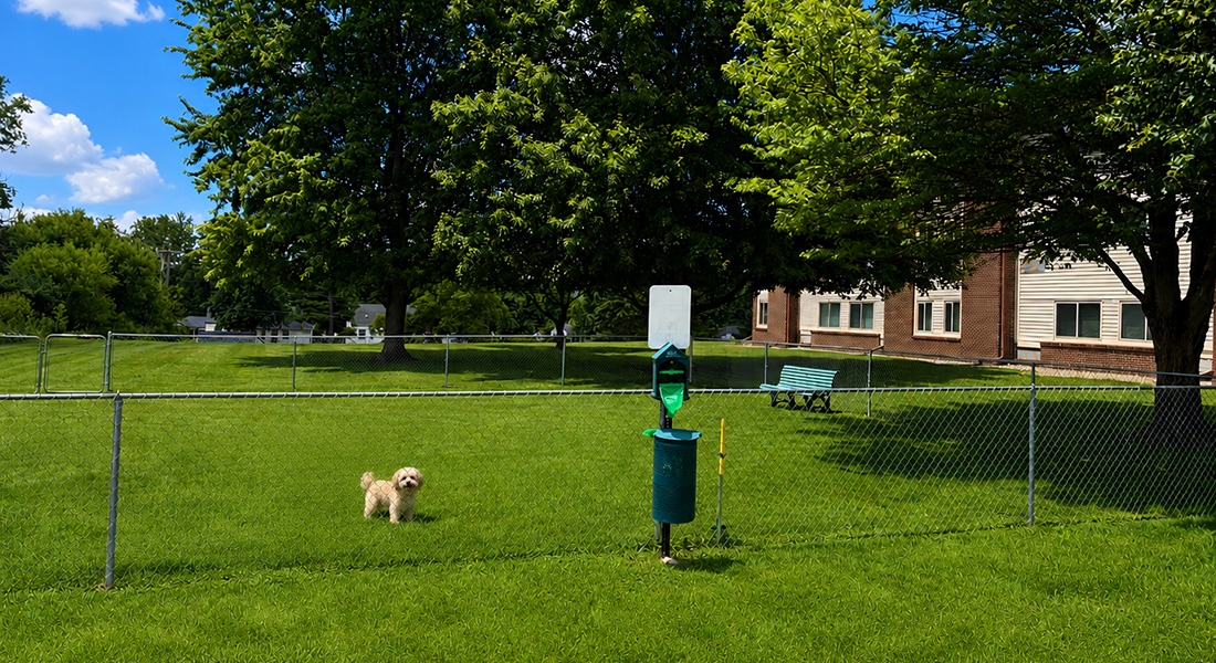 FountP10 Fountain Place dog park